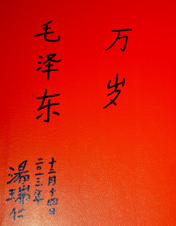 ëҷ괴ʼ  㣩